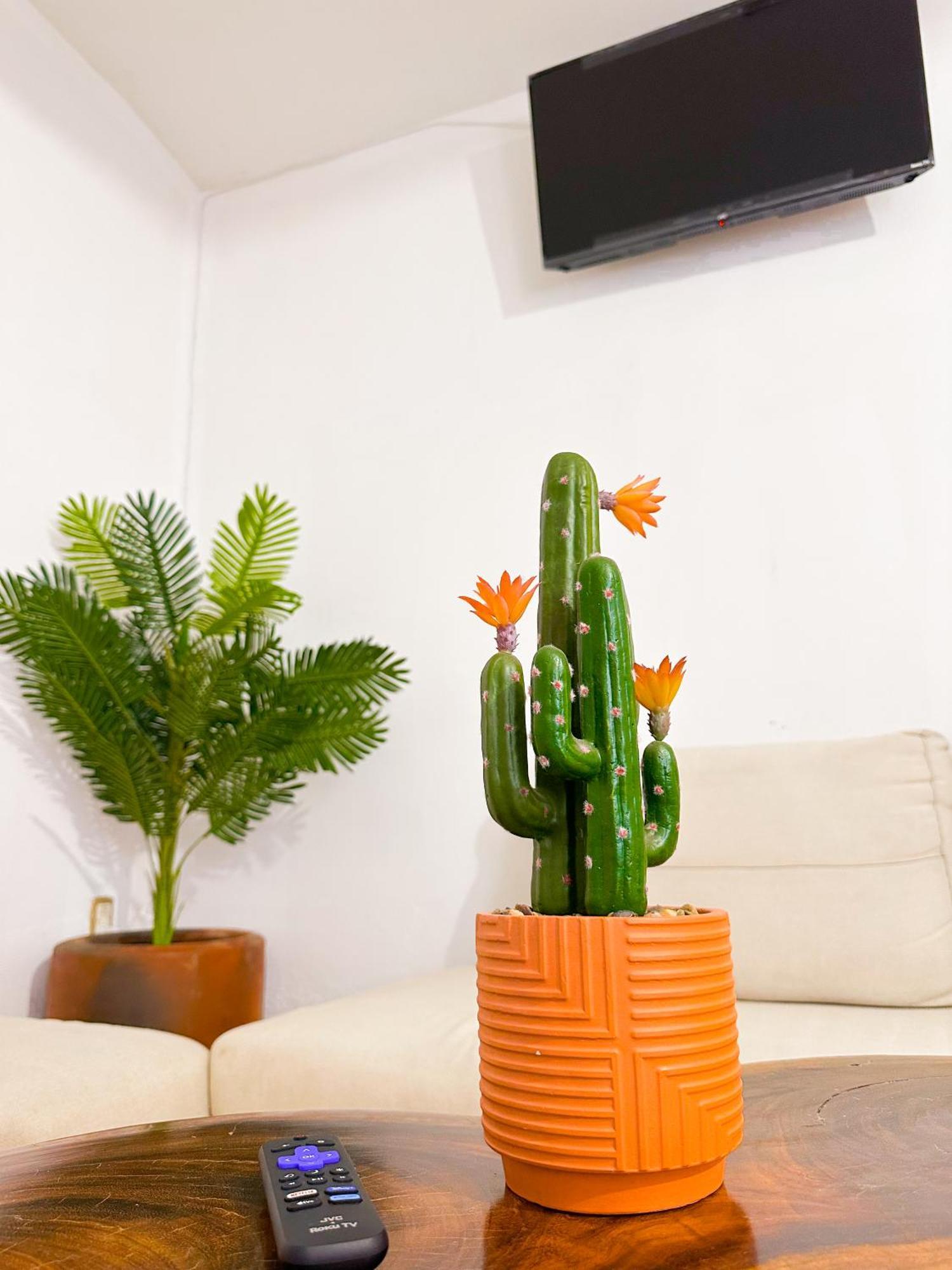Habitaciones Hvuz, Centro Oaxaca Екстериор снимка